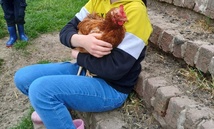 Médiation animale, Bien-être émotionnel, Ressourcement Médiation animale, Bien-être émotionnel, Ressourcement