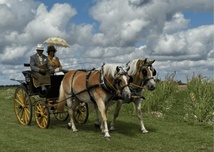 Histoire, Chevaux, Spectacle Histoire, Chevaux, Spectacle