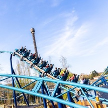 Histoire, Sensations, Famille