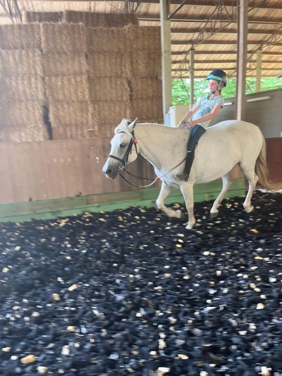 Équitation éthologique, Apprentissage progressif, Relation enfant-animal Équitation éthologique, Apprentissage progressif, Relation enfant-animal