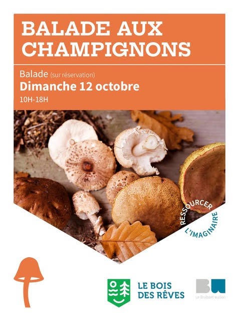 Balade nature, Champignons, Éducation