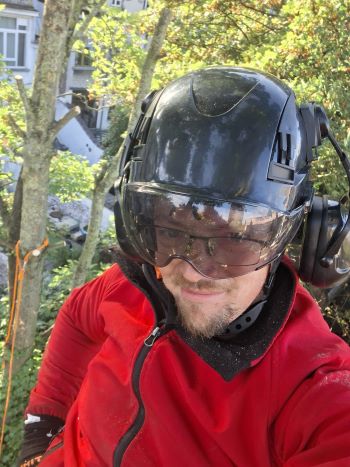 Élagage, Réaménagement de terrain, Brabant wallon Élagage, Réaménagement de terrain, Brabant wallon