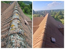 Élagage, Réaménagement de terrain, Brabant wallon Élagage, Réaménagement de terrain, Brabant wallon