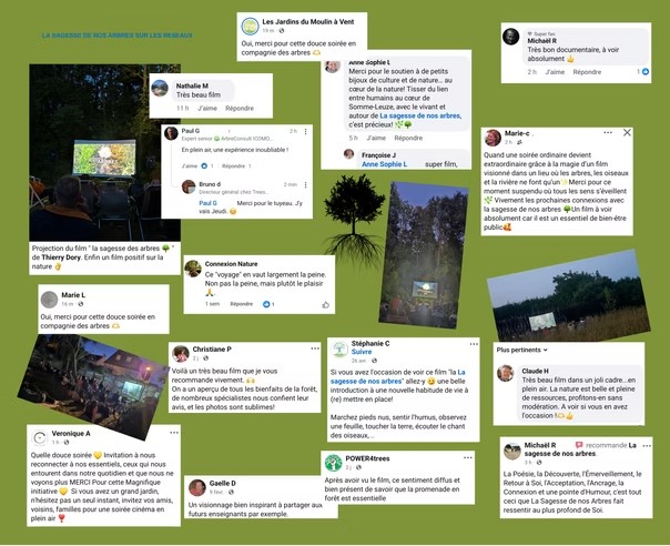 Nature, Harmonie, Sensibilisation Nature, Harmonie, Sensibilisation