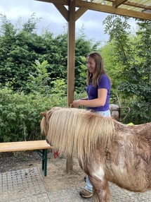 Équimotricité, Lien humain-animal, Activités familiales Équimotricité, Lien humain-animal, Activités familiales