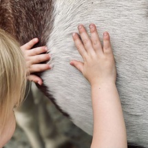 Équimotricité, Lien humain-animal, Activités familiales Équimotricité, Lien humain-animal, Activités familiales