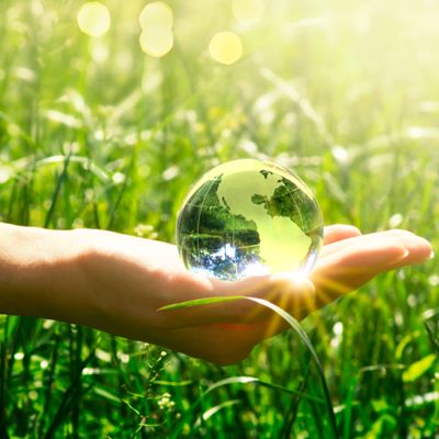 Réglementation, Bien-être animal, Autonomie alimentaire