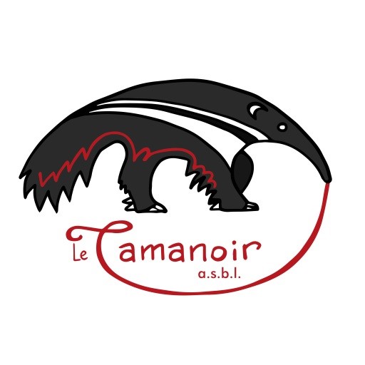 Fêtes d’hiver Nivelles, Le Tamanoir, Magie et créativité Fêtes d’hiver Nivelles, Le Tamanoir, Magie et créativité