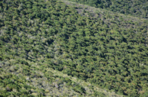 Voyage : La Corse... Voyage : La Corse...