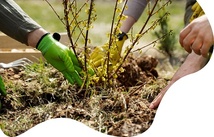 Biodiversité, Engagement citoyen, Écosystèmes