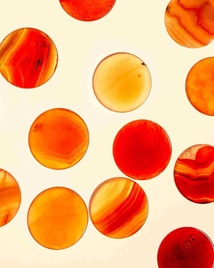 Bougies, Luxe, Parfum