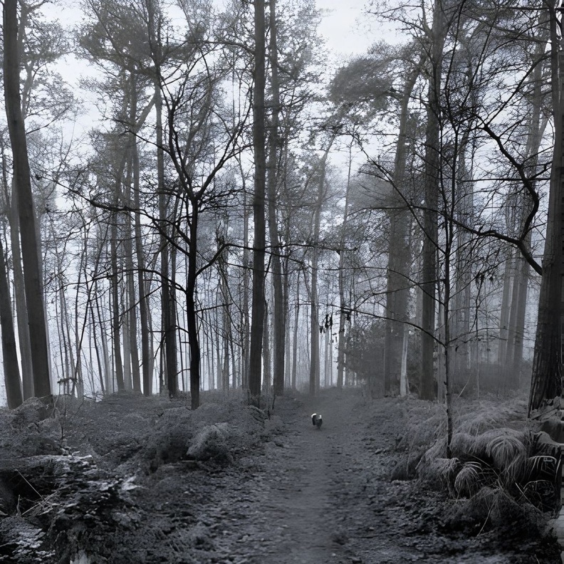 Nature, Patrimoine, Balade familiale