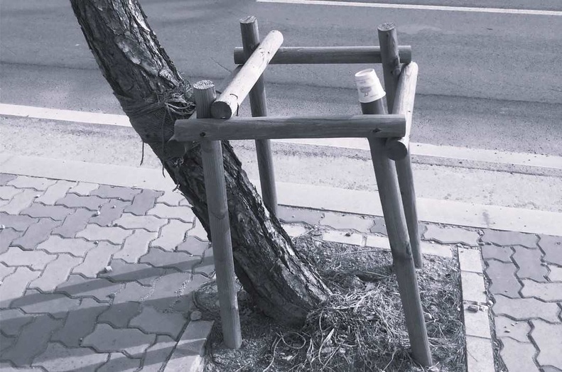 Spectacle, Handicap, Inclusion Spectacle, Handicap, Inclusion