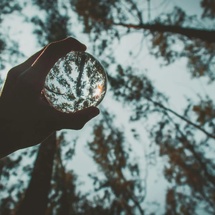 Deuil, PNL, Résilience Deuil, PNL, Résilience