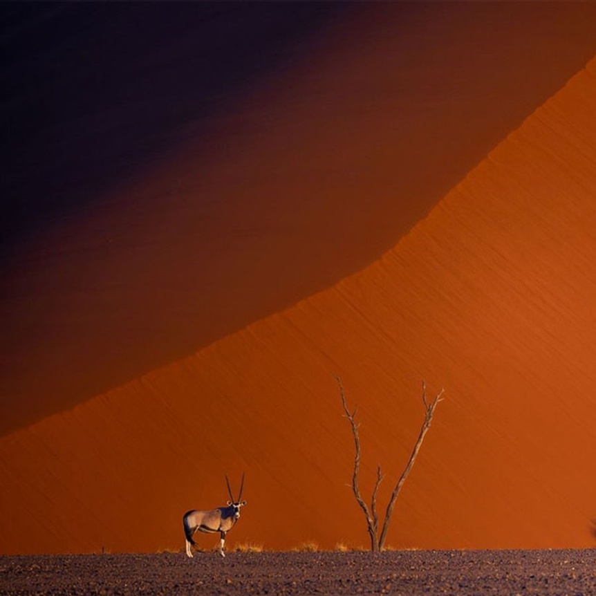 Namibie, Nature, Photographie