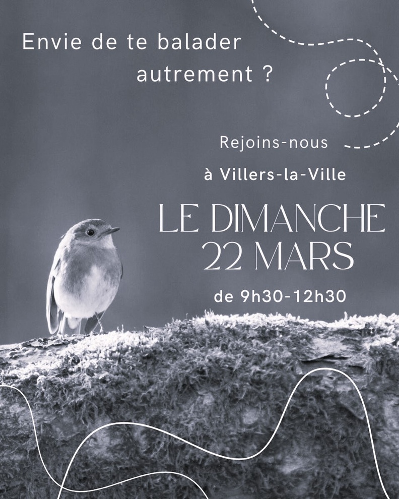 nature, sons, balade