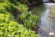 Brabant wallon rivières, Riverains protection eau, Brochure environnement locale