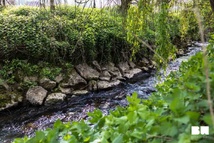 Brabant wallon rivières, Riverains protection eau, Brochure environnement locale Brabant wallon rivières, Riverains protection eau, Brochure environnement locale