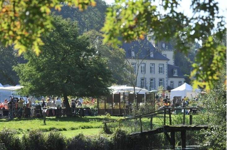 Plantes, Jardin, Nature Plantes, Jardin, Nature