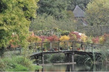 Plantes, Jardin, Nature Plantes, Jardin, Nature