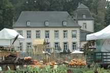 Plantes, Jardin, Nature