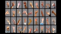 Corps, Diversité, Art Corps, Diversité, Art