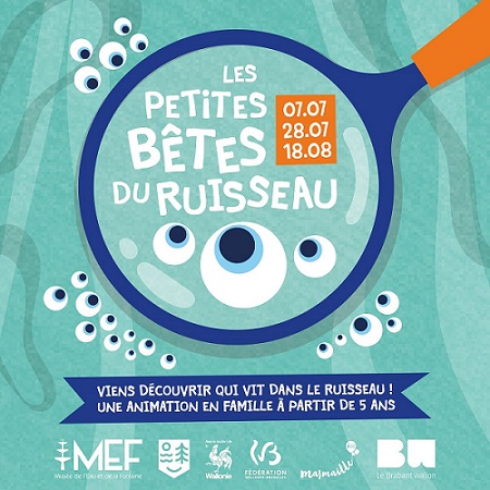 Biodiversité, Ruisseau, Macroinvertébrés