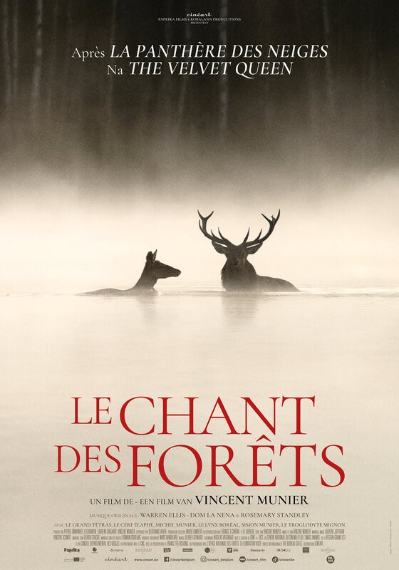 Cinéma, Nature, Chaumont