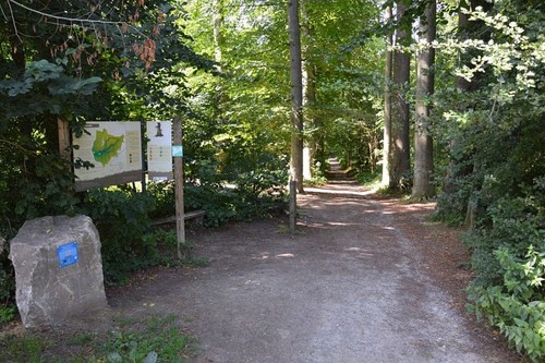 12 magnifiques balades d’automne à découvrir en Brabant wallon