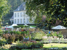 Fête des Plantes d'Aywiers : trois jours pour verdir l'automne