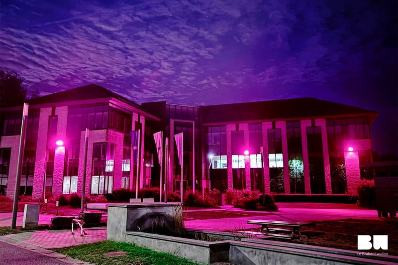 Le Brabant wallon voit la vie en rose : première « Province rose Think Pink »