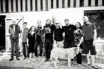 WILD BIRDS : Thomas Frank Hopper signe un clip animé coup de poing