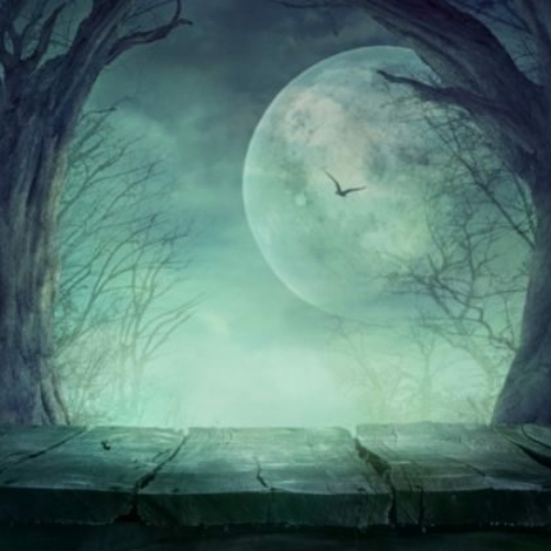 Balades contées dans la Forêt interdite : Halloween se raconte à Rixensart