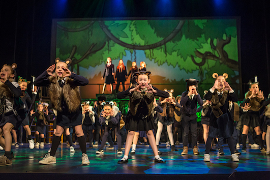 L’Ecole de la Scène, la plus grande école de comédie musicale : chant, danse, théâtre à La Hulpe en Brabant wallon ...