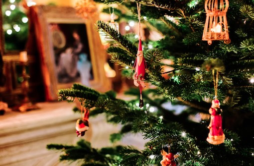 Dates de collecte des sapins de Noël en Brabant wallon.