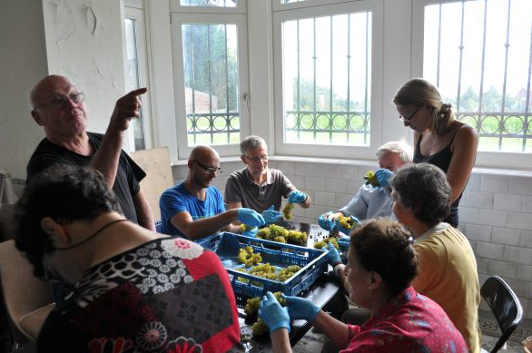 Le vignoble de Genval porte ses fruits !