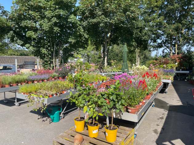 Animalerie engagée, Jardinage local, Conseil personnalisé