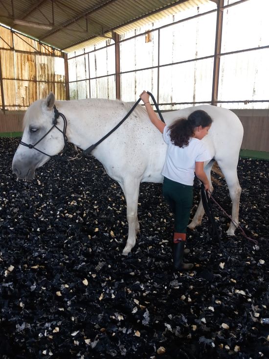 Équitation éthologique, Apprentissage progressif, Relation enfant-animal