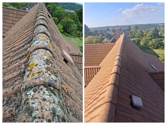 Élagage, Réaménagement de terrain, Brabant wallon