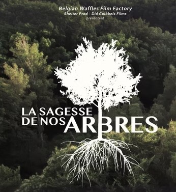 Nature, Harmonie, Sensibilisation