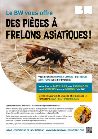 Frelon asiatique, Citoyens mobilisés, Biodiversité