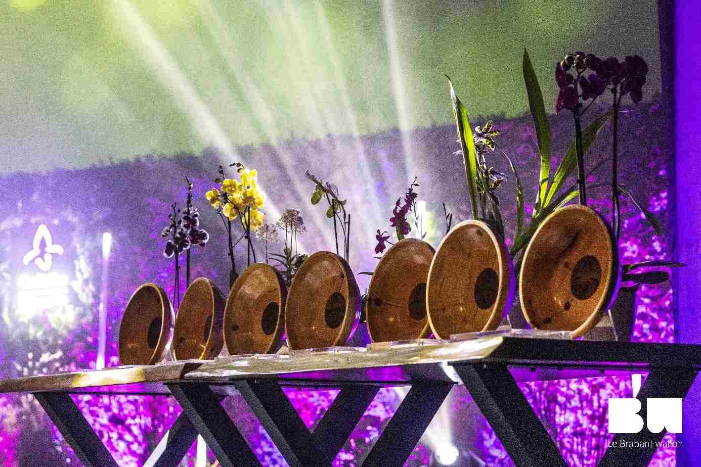 Talents, Innovation, Célébration