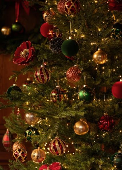 Fêtes d’hiver Nivelles,  Le Tamanoir,  Magie et créativité