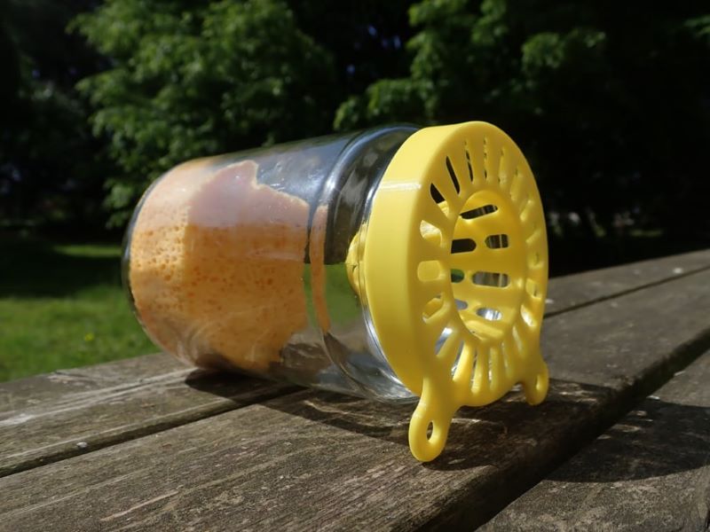 Frelon asiatique,   Protection des abeilles,   Biodiversité Brabant wallon