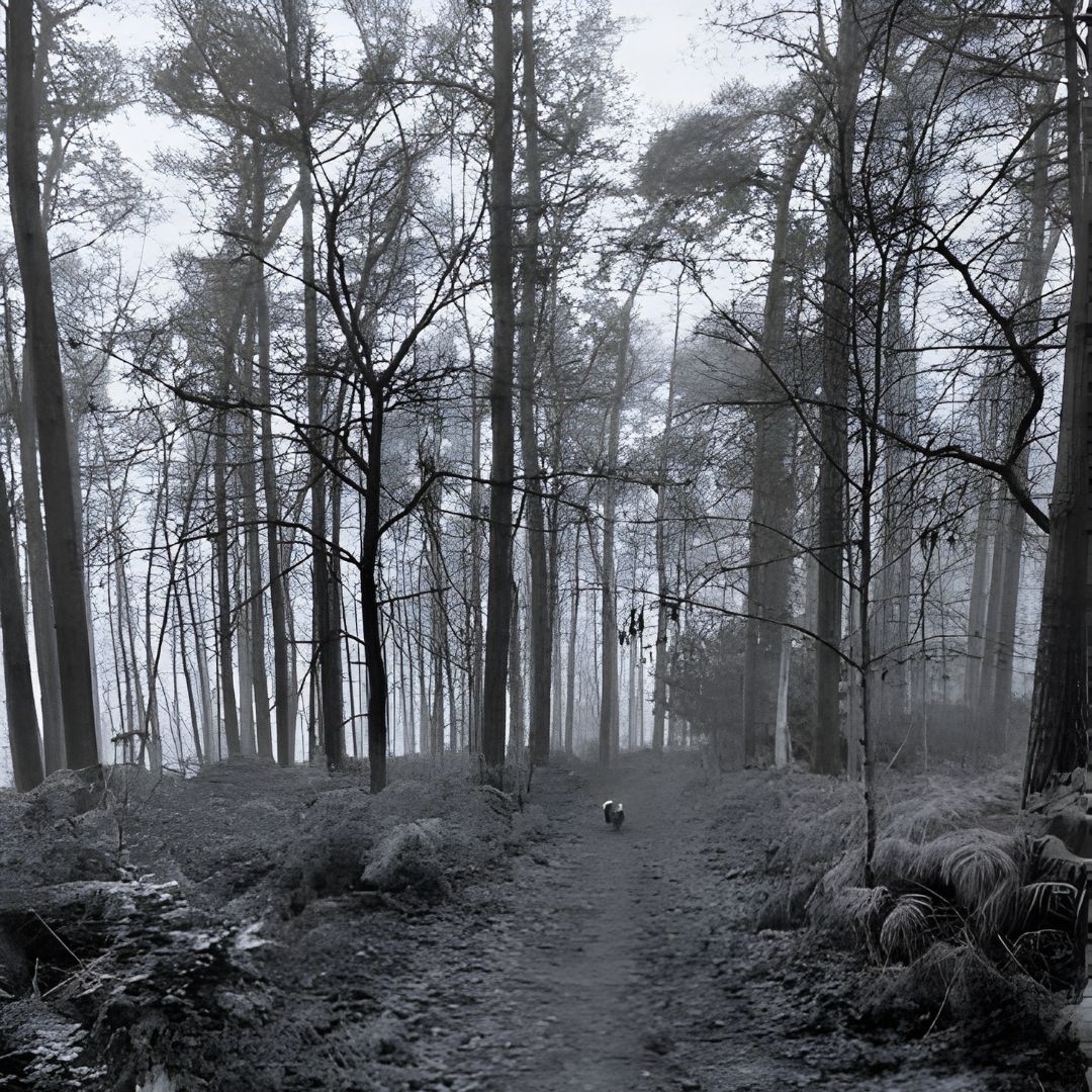 Nature, Patrimoine, Balade familiale