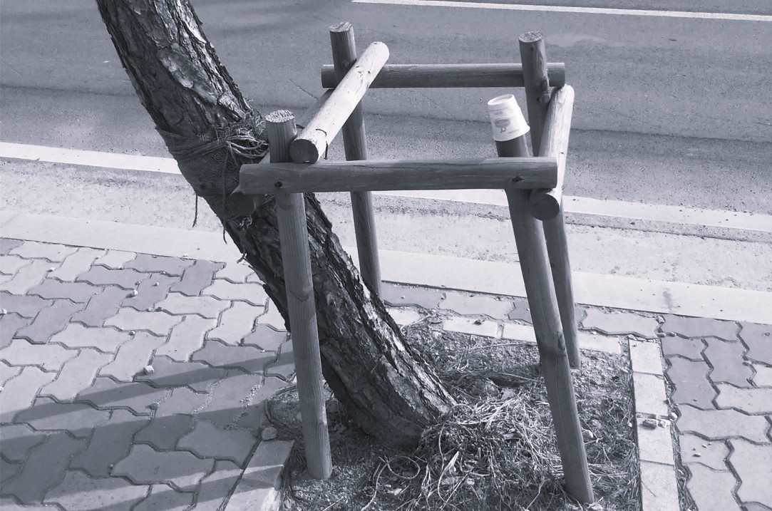 Spectacle, Handicap, Inclusion