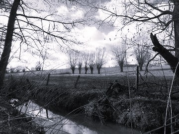 Balade, Nature, Baisy