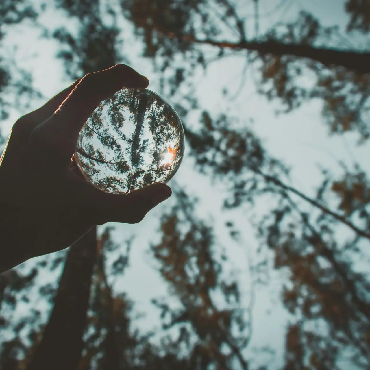 Deuil, PNL, Résilience