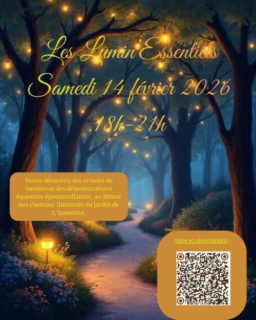 Parcours lumineux immersif, Spectacles équestres et artistiques, Événement familial féerique