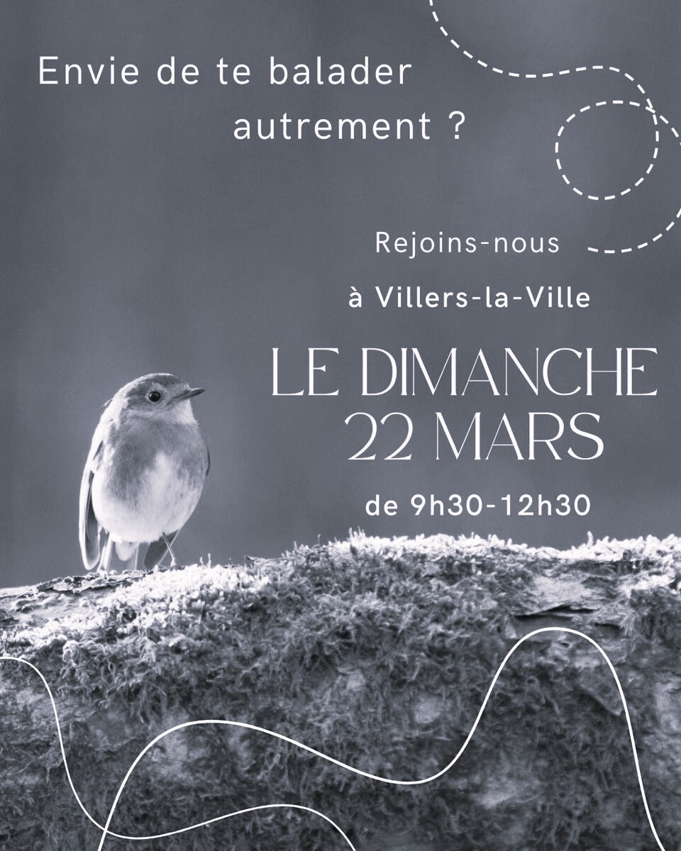 nature, sons, balade